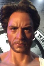Wolverine - Image 2
